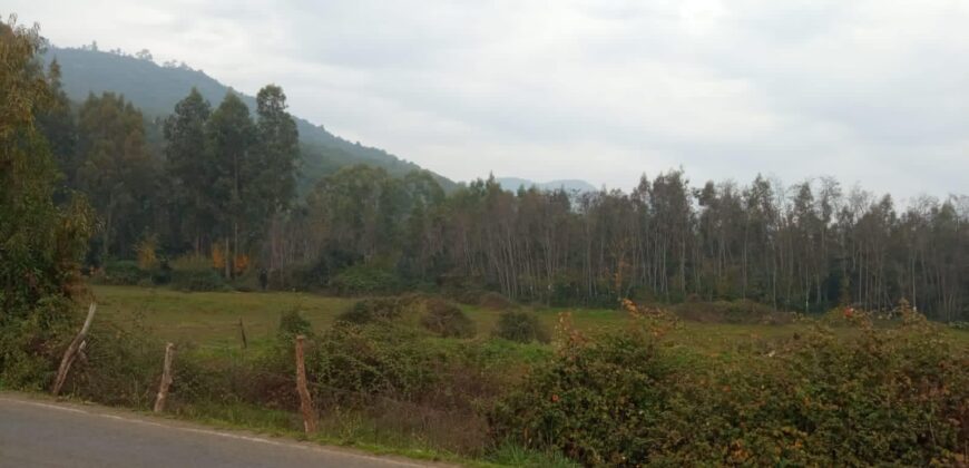 Parcela a Orilla de la Carretera